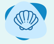 schelpdieren kopen oostende